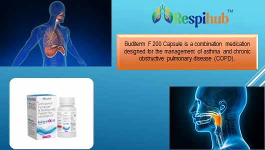 Buditerm F 200 Inhaler at Best Price in Pulmonary Franchise for Asthma Treatment and Bronchodilator/Corticosteroid